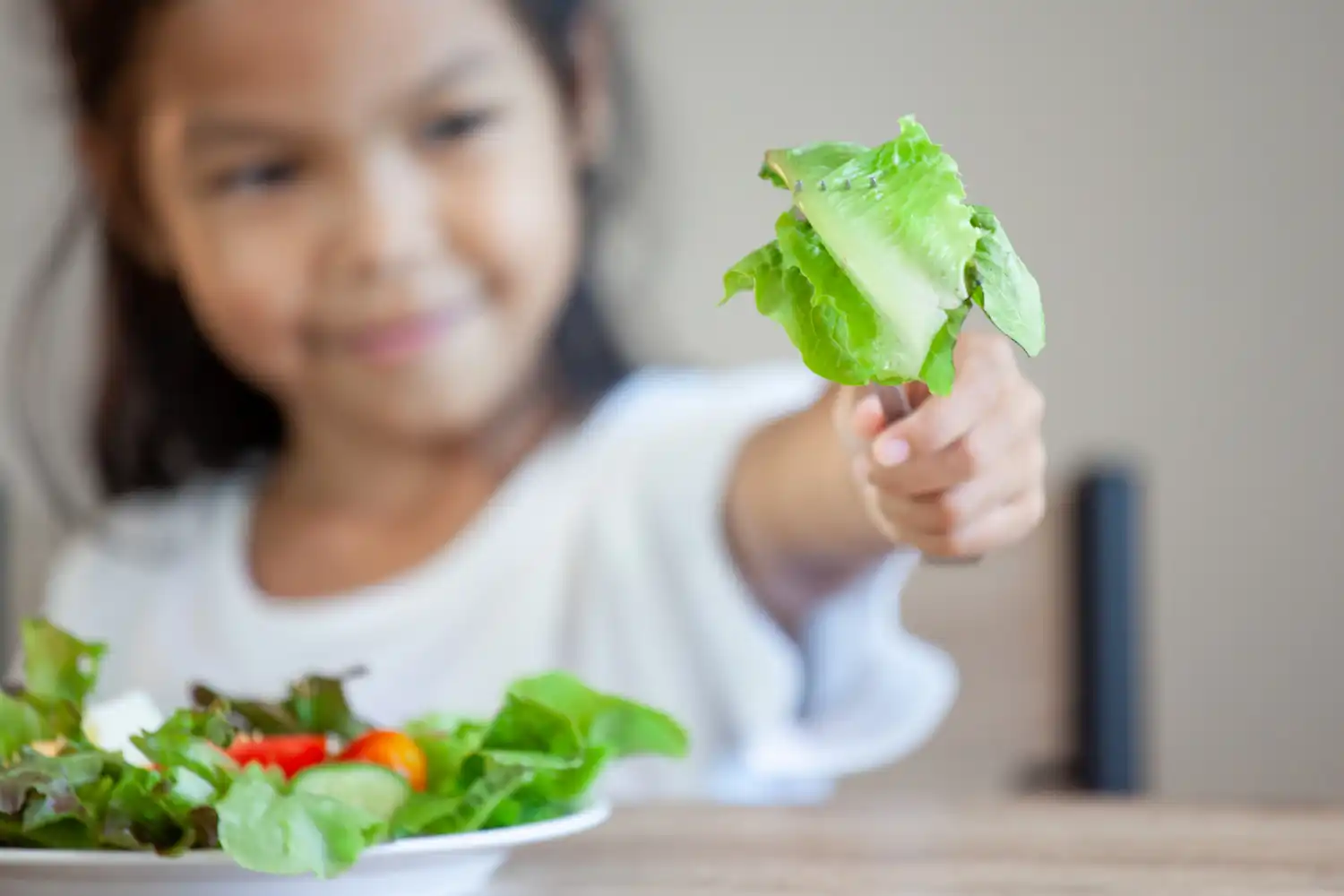 insegurança alimenta, desperdício, crianças, familia weco.org.br